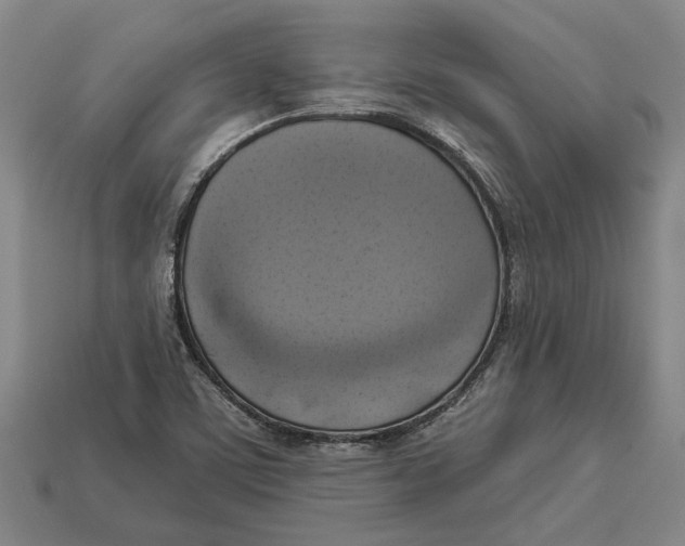 X0000112961459200909171248