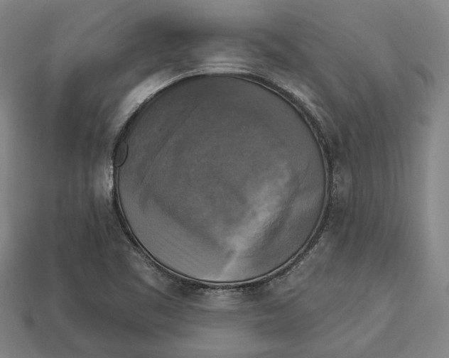 X0000112961461200909171248