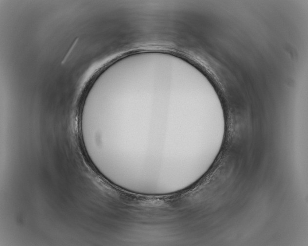 X0000112961462200909171248