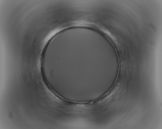 X0000112961463200909171248