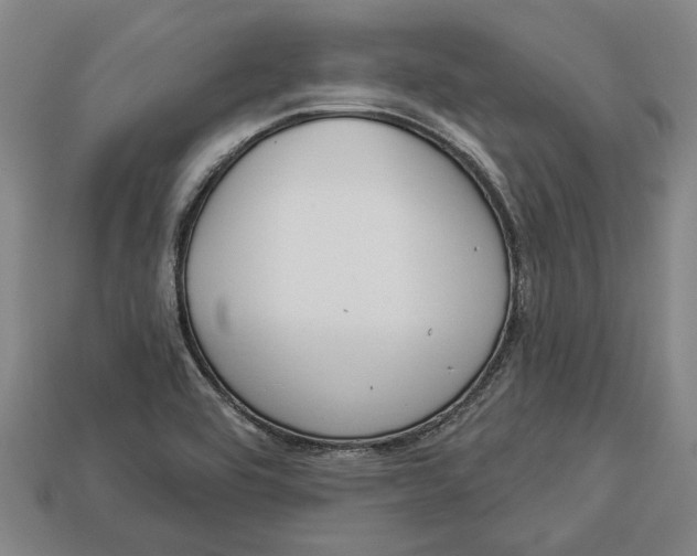 X0000112961464200909171248