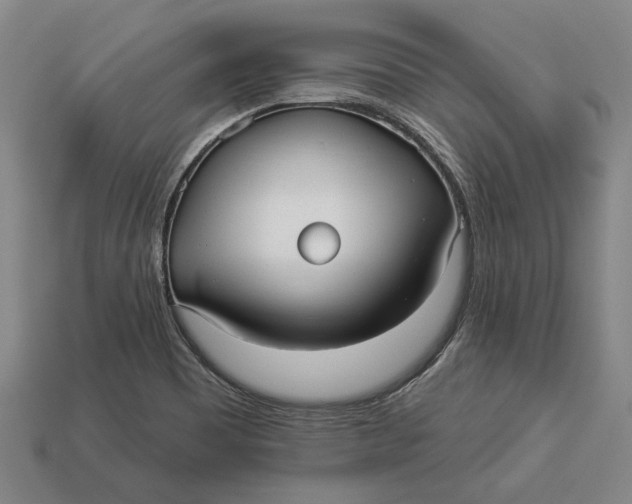 X0000112961465200909171248