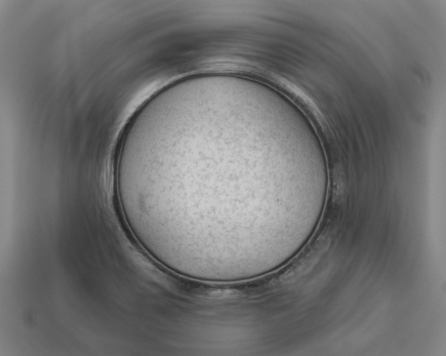 X0000112961467200909171248