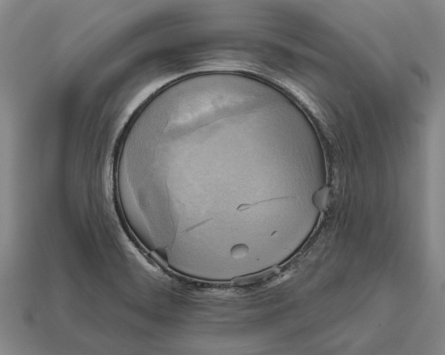 X0000112961468200909171248