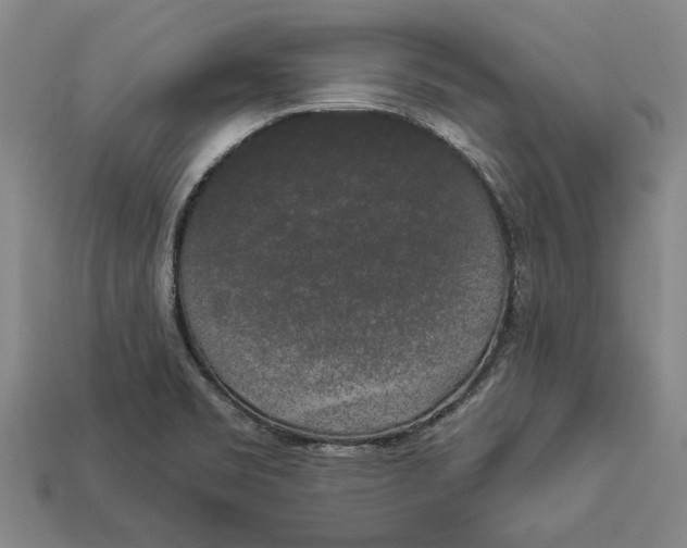 X0000112961469200909171247