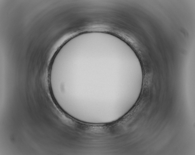 X0000112961470200909171247