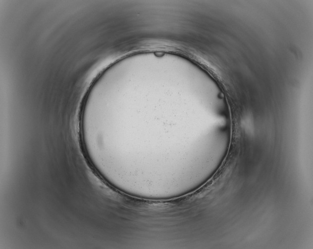 X0000112961471200909171247