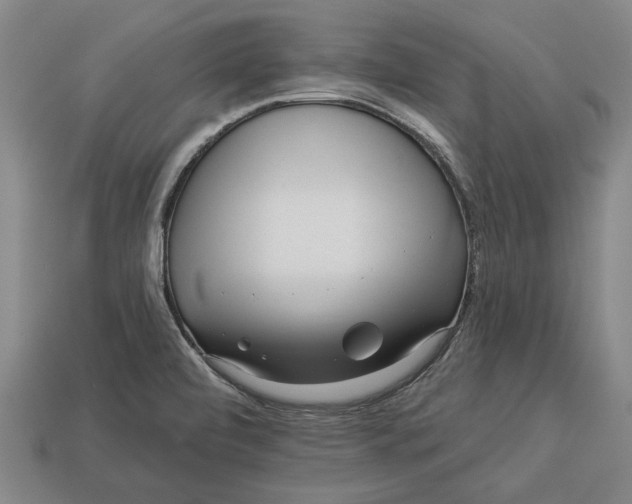 X0000112961472200909171247