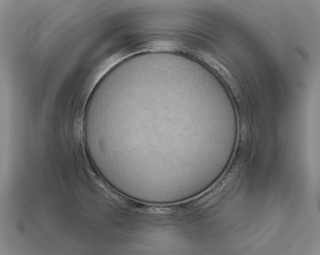 X0000112961473200909171247