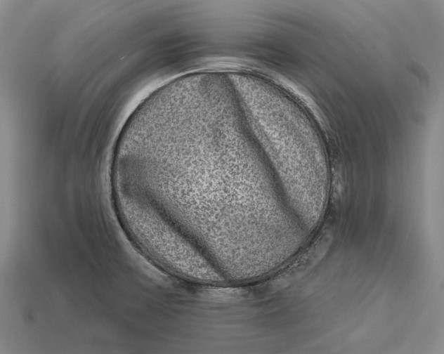 X0000112961475200909171247