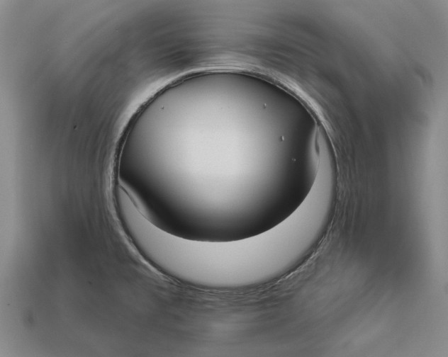 X0000112961477200909171247