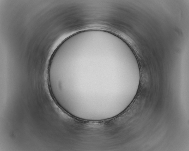 X0000112961478200909171247