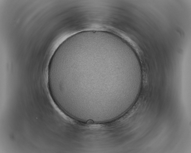 X0000112961479200909171247