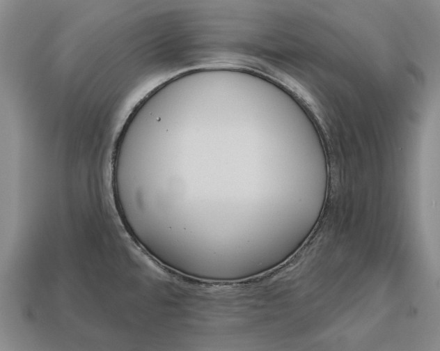 X0000112961480200909171247