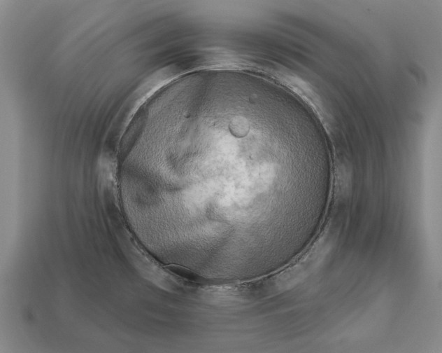 X0000112961481200909171247