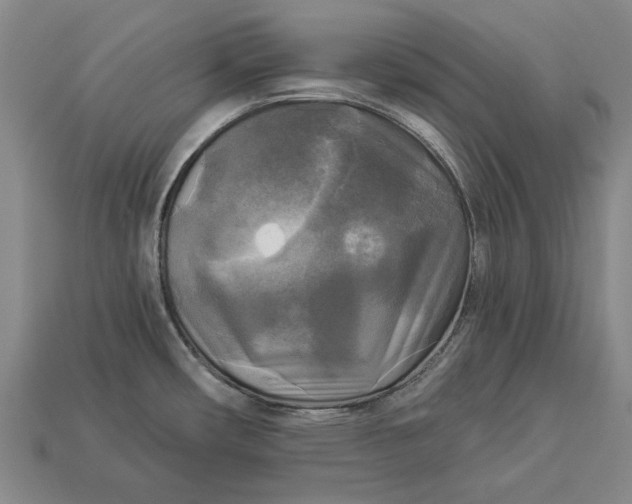 X0000112961482200909171247