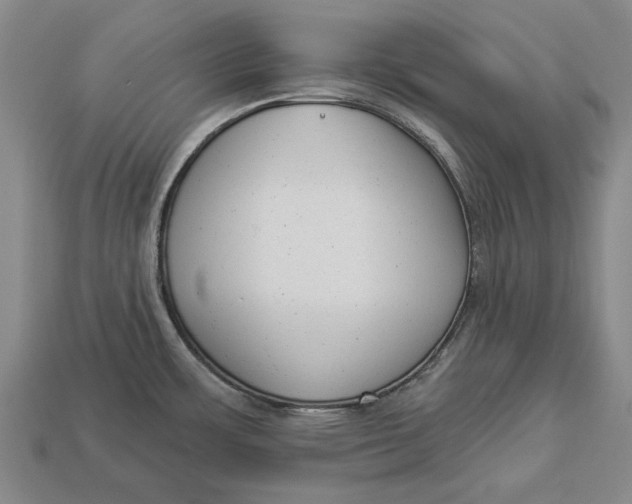 X0000112961483200909171247