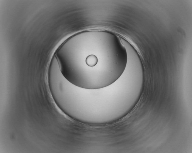 X0000112961484200909171247