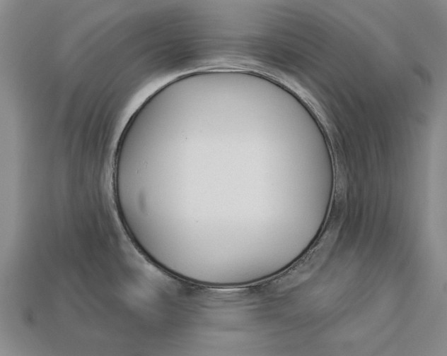 X0000112961486200909171247