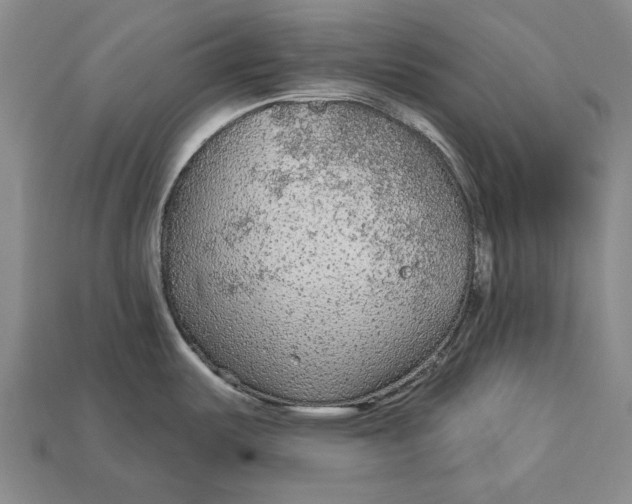 X0000112961487200909171247