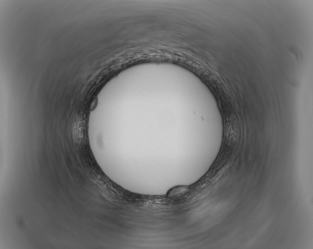 X0000112961490200909171247