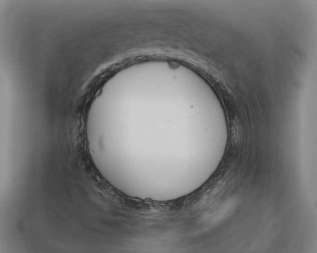 X0000112961494200909171247