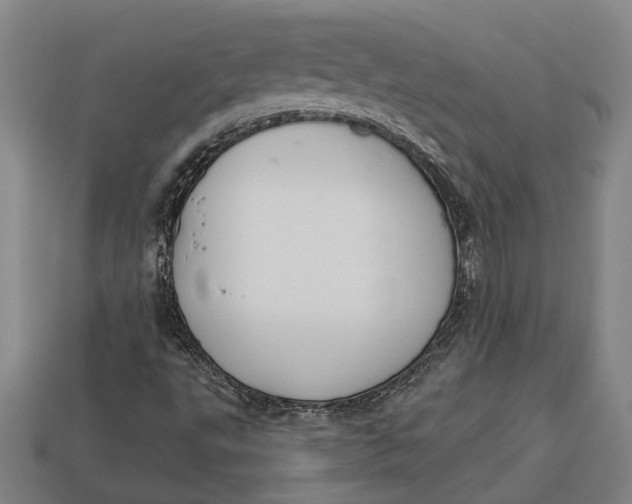 X0000112961495200909171247