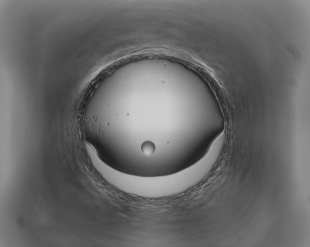 X0000112961496200909171247