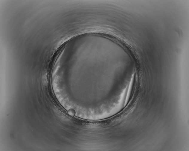 X0000112961497200909171247