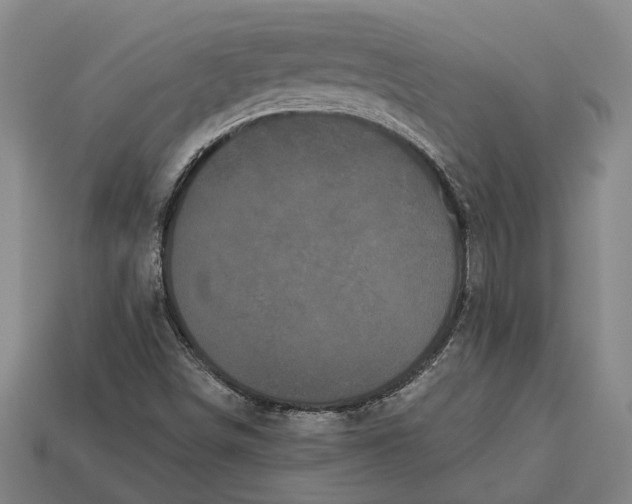 X0000112961498200909171247