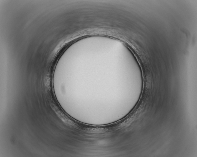 X0000112961499200909171247