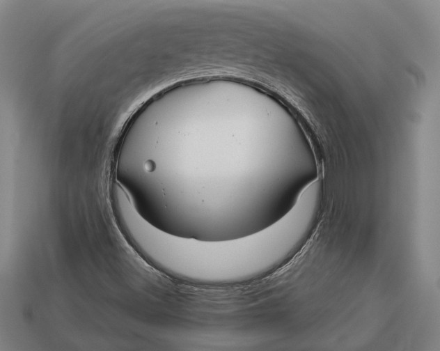 X0000112961500200909171247