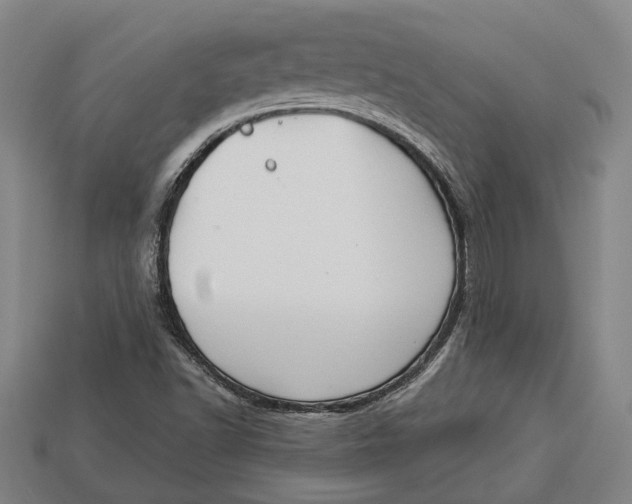 X0000112961502200909171247