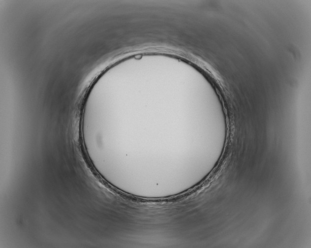 X0000112961504200909171247