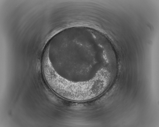 X0000112961505200909171247