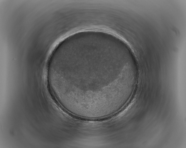 X0000112961506200909171247