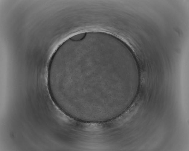 X0000112961508200909171247