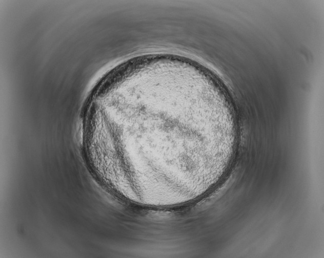 X0000112961509200909171247