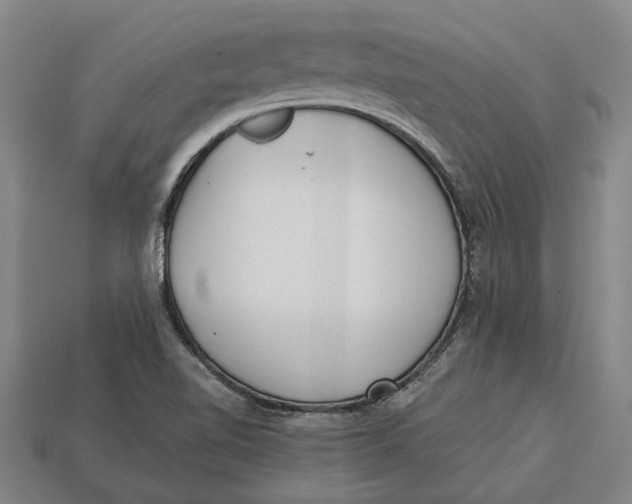 X0000112961510200909171247