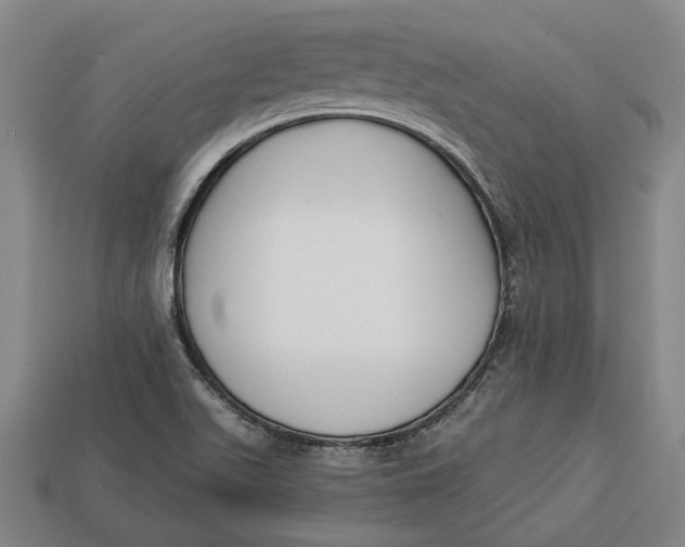 X0000112961511200909171247