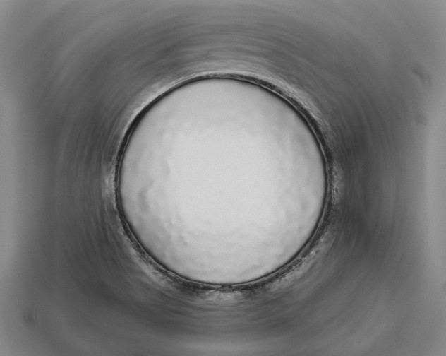 X0000112961513200909171247