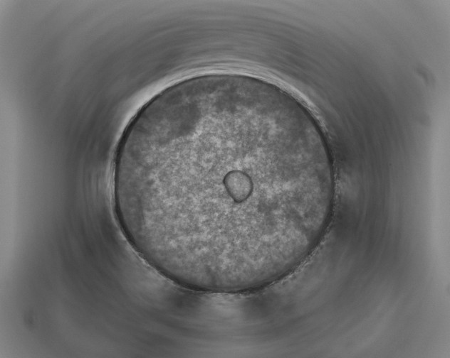 X0000112961514200909171247