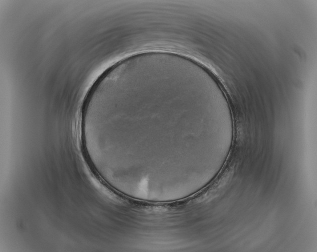 X0000112961515200909171247