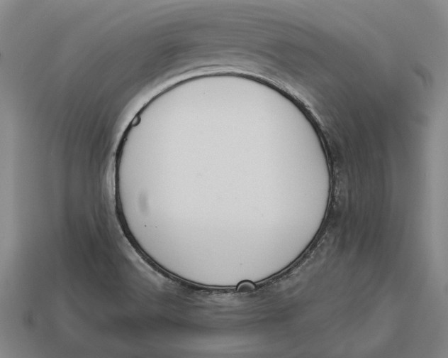 X0000112961516200909171247