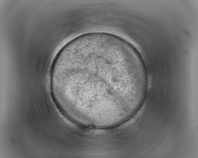 X0000112961517200909171247