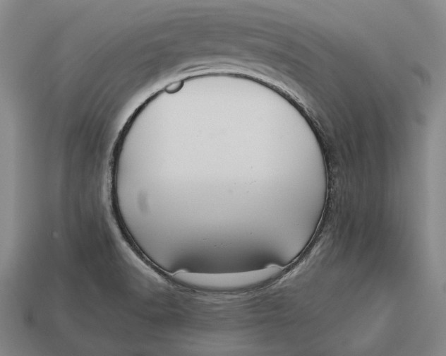 X0000112961518200909171247