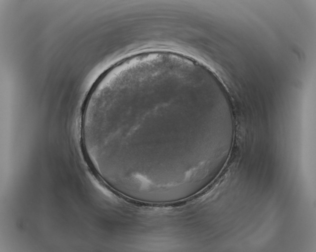 X0000112961519200909171247