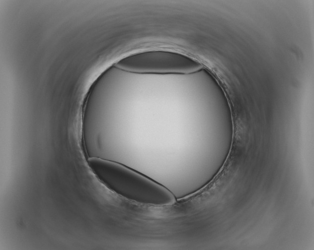 X0000112961520200909171247