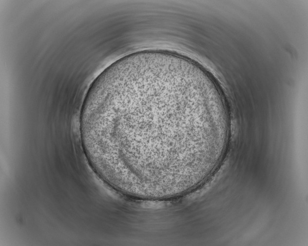 X0000112961521200909171247