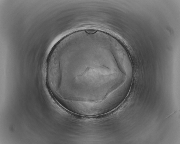 X0000112961522200909171247